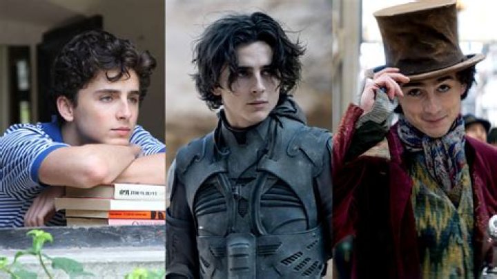 Timothée Chalamet Movies, Ranked