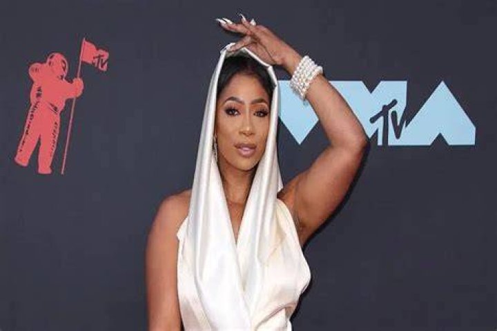 Tommie Lee: A Legendary Musician And Reality Star