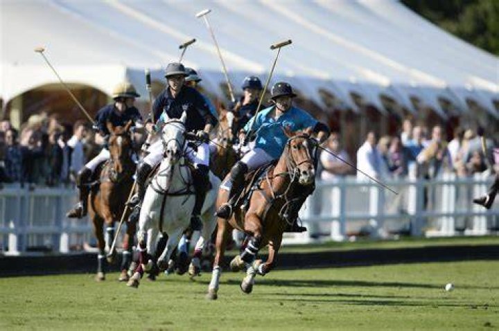 Top 13 Famous Polo Athletes in the World [2023 Update]