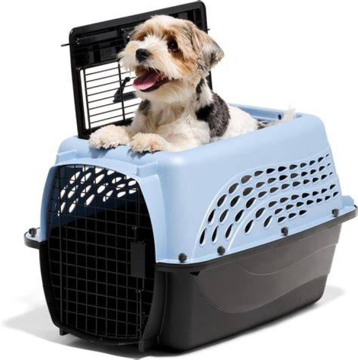 Top Load Dog Carriers  Your Go-To Guide For Top-of-the-Line Options
