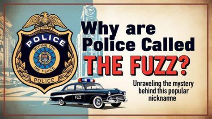 Top Reasons Why The Police Get Called In A Nutshell