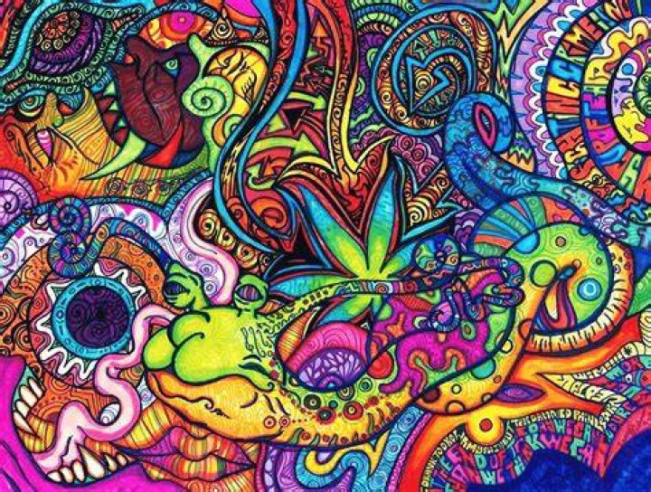 Trippy's Smoke Shop Videos