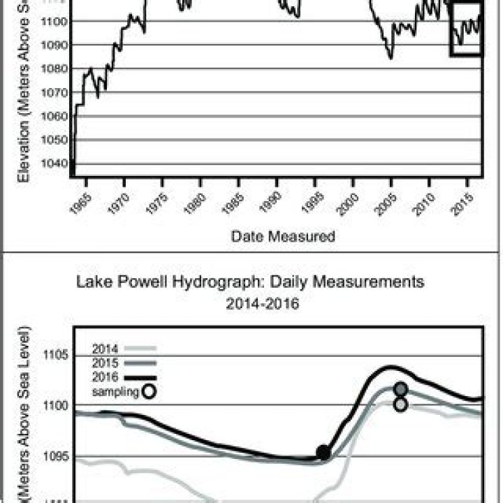 Tyla Dam's Current And Historical Water Levels