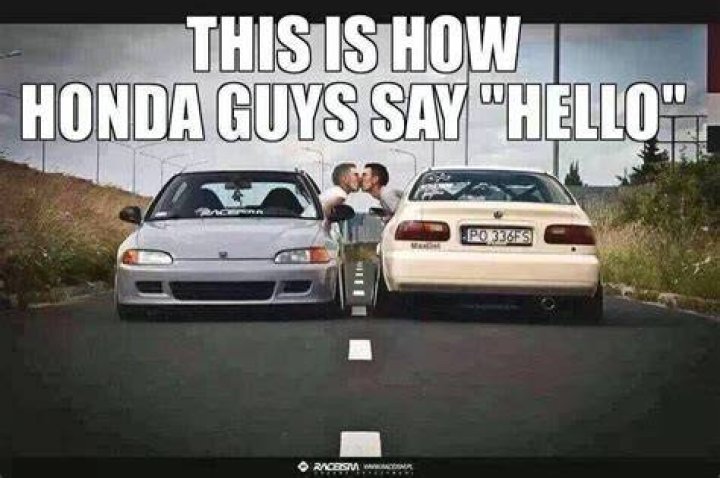 Typical Honda driver! Funny car memes, Really funny memes, Pinterest