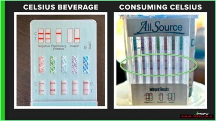 Ultimate Guide To Celsius Energy Drink Drug Tests: Know The Facts
