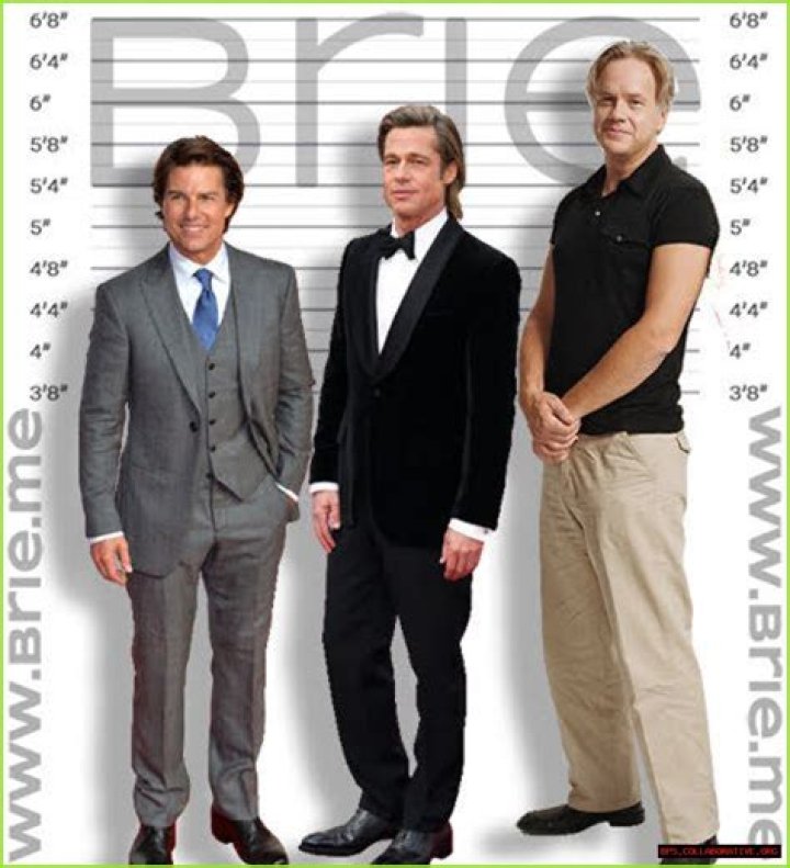 Ultimate Guide To Tim Robbins' Height: Measurements And Statistics