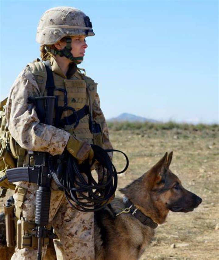 Unbreakable Bond: Megan Leavey And Matt Morales' Story Of Loyalty And Sacrifice