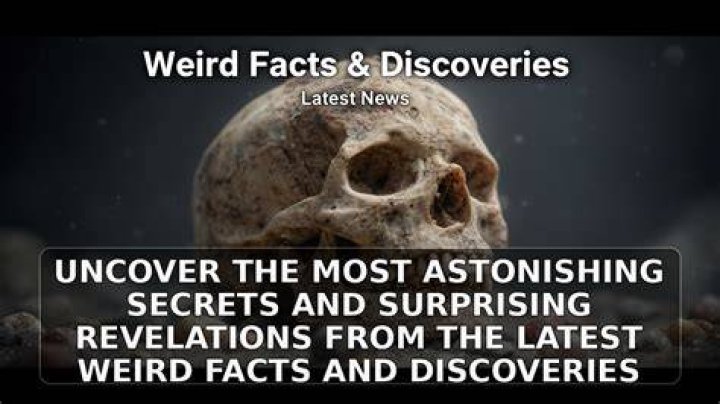 Uncover The Latest News And Surprising Revelations