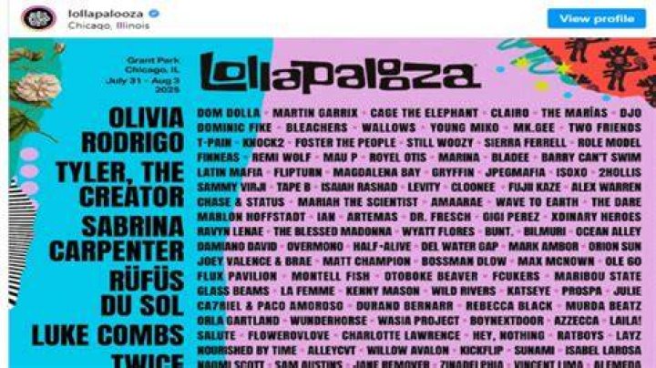 Uncover The Secrets: Lollapalooza's Age Limit Explained