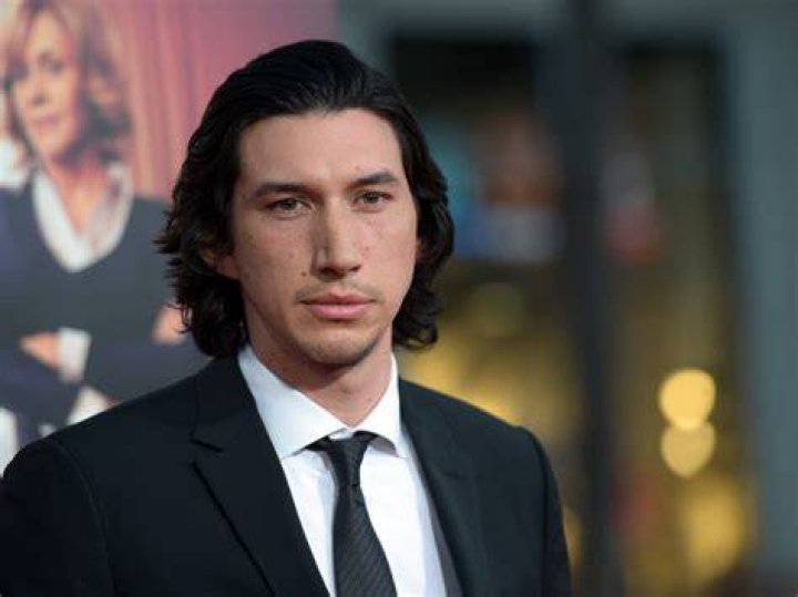 Uncovering The Hidden Influence: Adam Driver's Sister Revealed