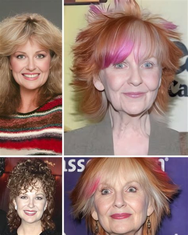 Uncovering The Marital Status Of Shelley Fabares: Unveiling Surprising Insights