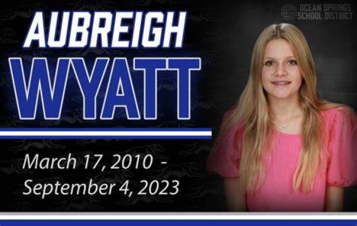 Understanding The Impact Of Bullying: The Case Of Molly Who Bullied Aubreigh Wyatt
