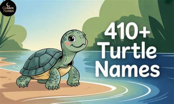 Unique Turtle Girl Names: Discover Enchanting Options