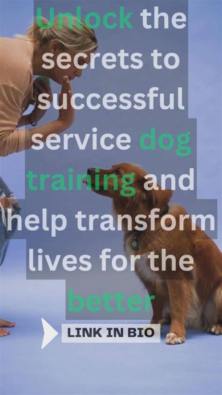 Unlock The Secrets Of Dog Training With Mandy Hansen