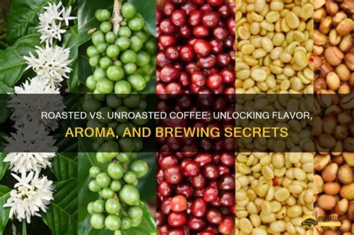 Unlocking Flavorful Secrets And Brewing Insights