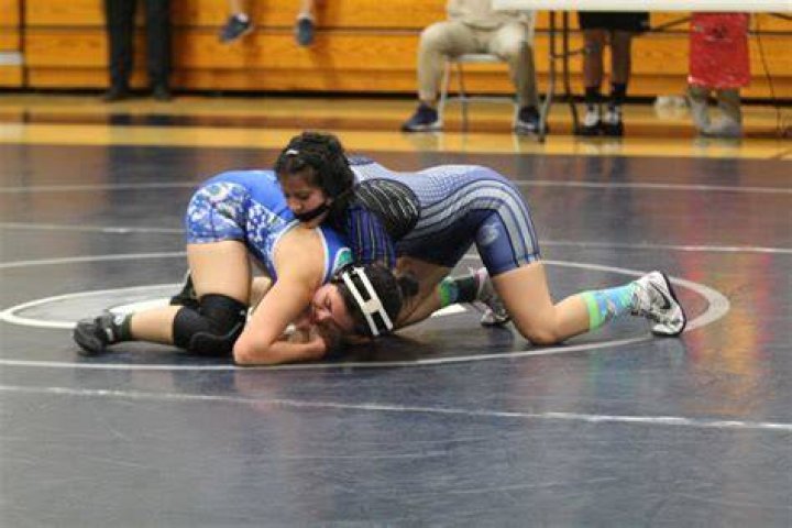 Unmasking The Number Of Kids And Their Wrestling Triumphs