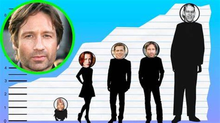 Unraveling The Height Of David Duchovny: How Tall Is He Really?