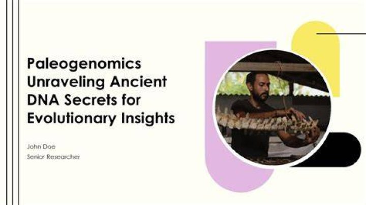 Unraveling The Secrets And Fascinating Insights