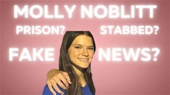 Unraveling The Story Behind Molly Aubreigh's Bully