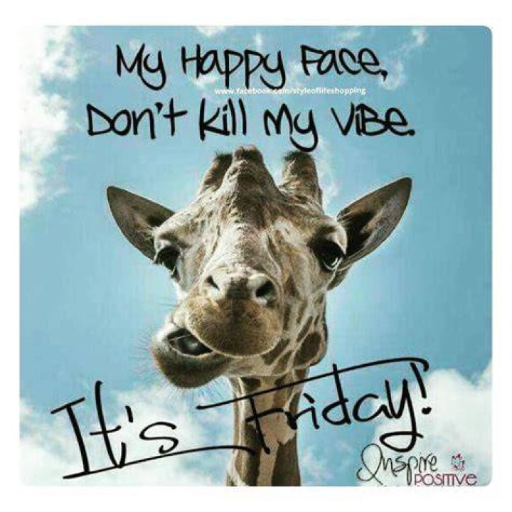 Untitled Happy friday humour, Its friday quotes, Friday humor