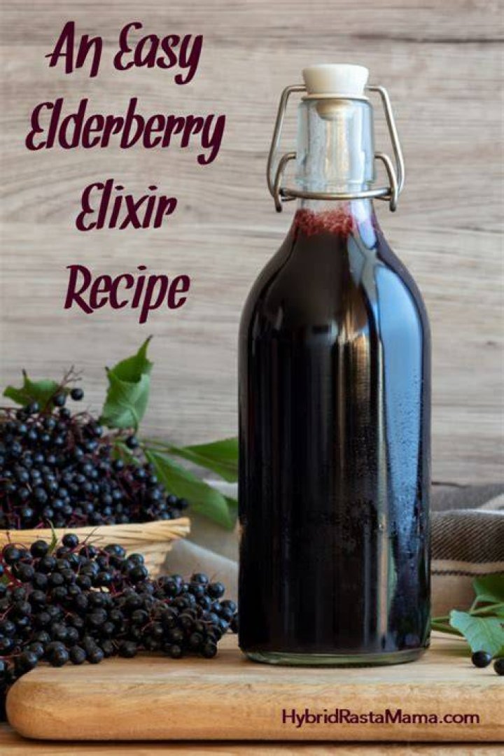 Unveil The Secrets Of The Elderberry Elixir: Elderberry Bombs Recipe Revealed!