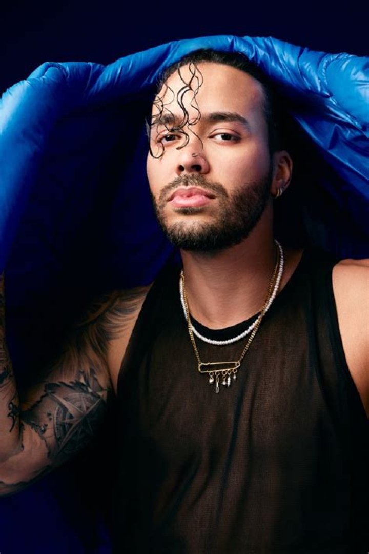 Unveiling Prince Royce's Cultural Tapestry: Discoveries And Insights