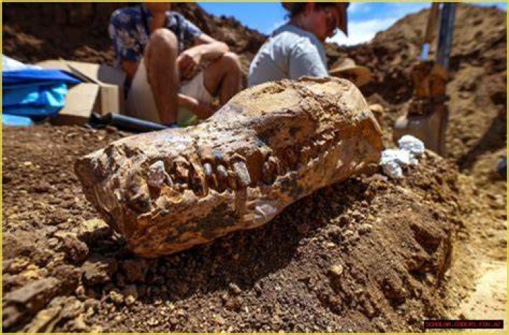 Unveiling The Enigma Of Chad Smith: Discoveries And Insights