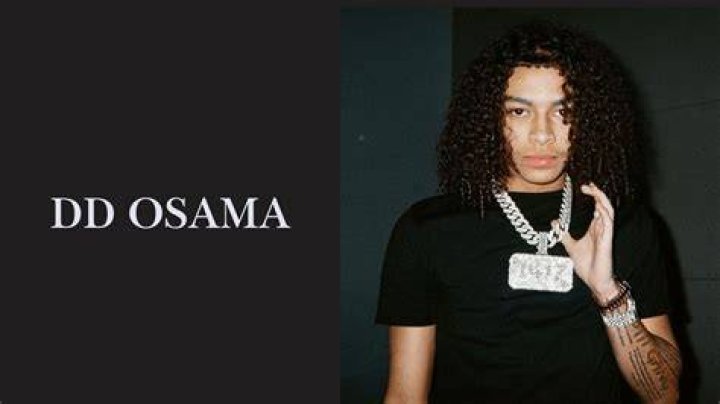 Unveiling The Life Of DD Osama: Exploring His Age And Journey