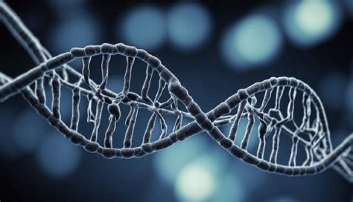 Unveiling The Mysteries Of Genetics And Inspiring Generations