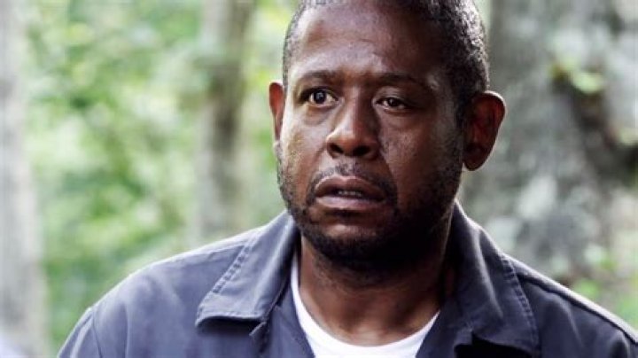 Unveiling The Mystery: Forest Whitaker's Eye, Unraveled