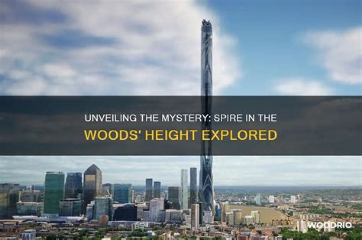 Unveiling The Secrets: Jodie Woods Height Explored