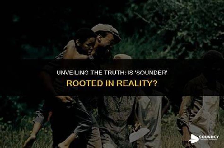 Unveiling The Truth: Is "Plane" Rooted In Reality?