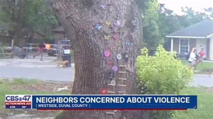 Video Shows Moment Woman Is Attacked By Snake Outside Her Home iHeart