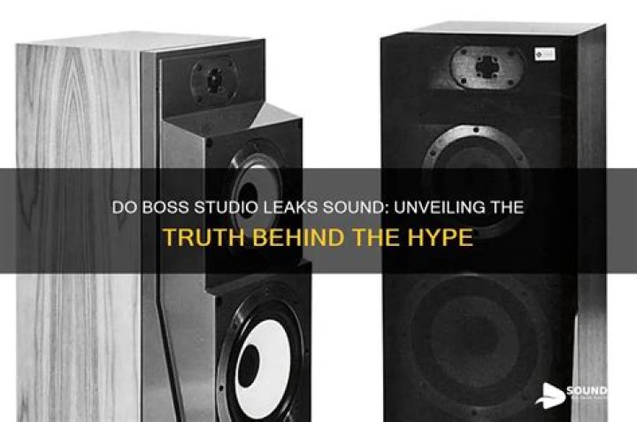 VietBunny Leaks: Unveiling The Truth Behind The Scandal
