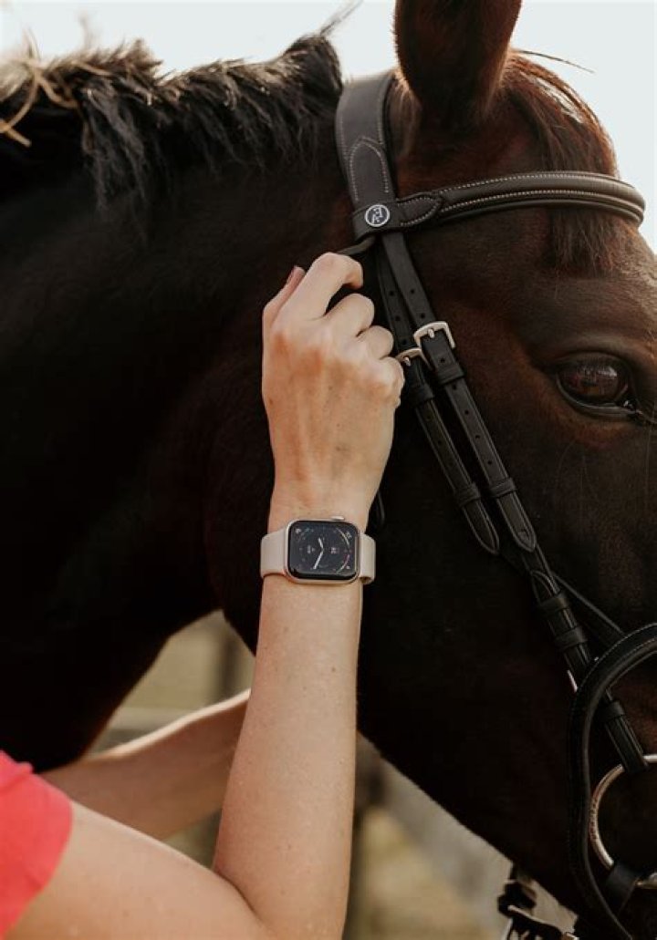 Watch Breathtaking Campinos Equestrians In Action