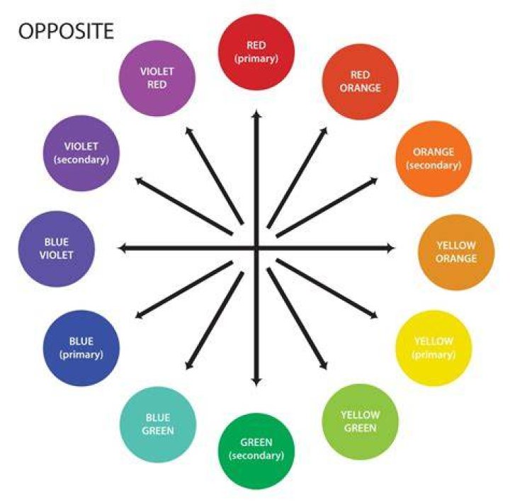 What Color Is the Opposite of Brown?