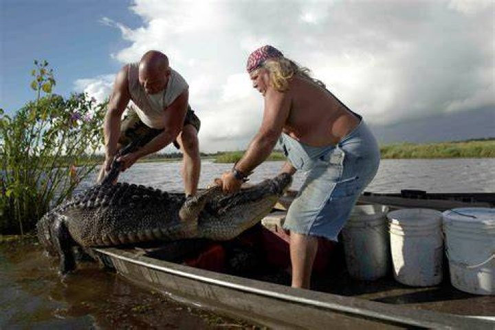 What do the 'Swamp People' do with the alligators after catching them? Hunting truths revealed!