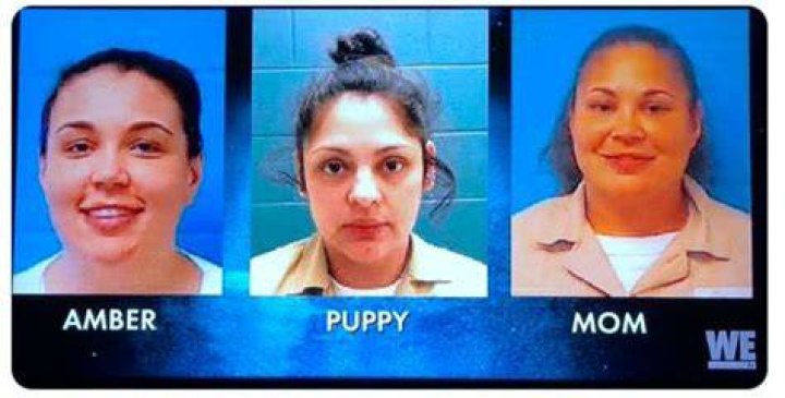 What Happens To Puppy On Love After Lockup? Celebrity