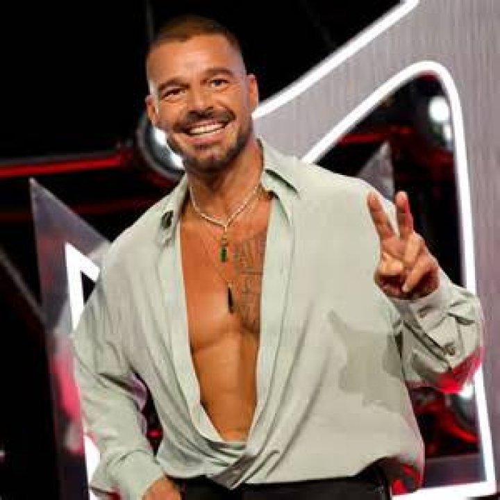 What Is Ricky Martin's Net Worth? Details on His Finances