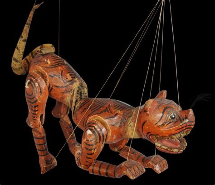 What Is the Burmese Tiger Pit