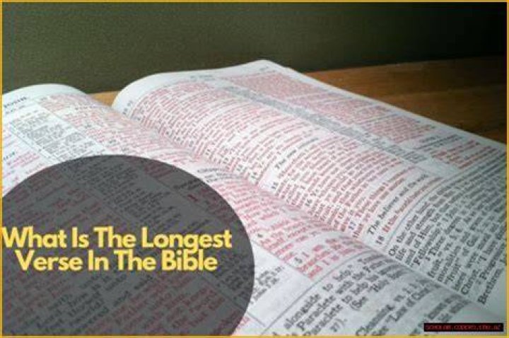 What's The Longest Verse In The Bible