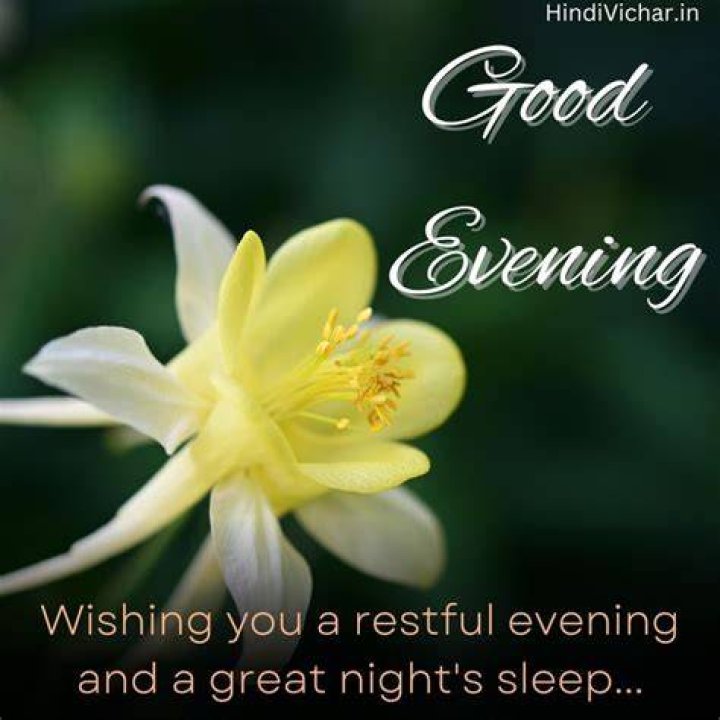 Whatsapp, Good Evening Message and Wishes Good Morning Images HD