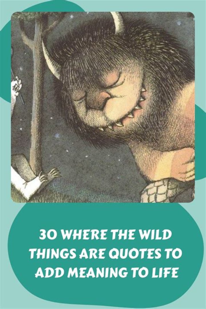 Where The Wild Things Are Song Meaning: Embracing Childhood Imagination
