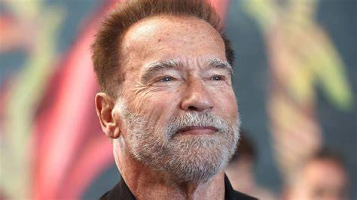 Who Is Arnold Schwarzenegger's Girlfriend? All About Heather Milligan