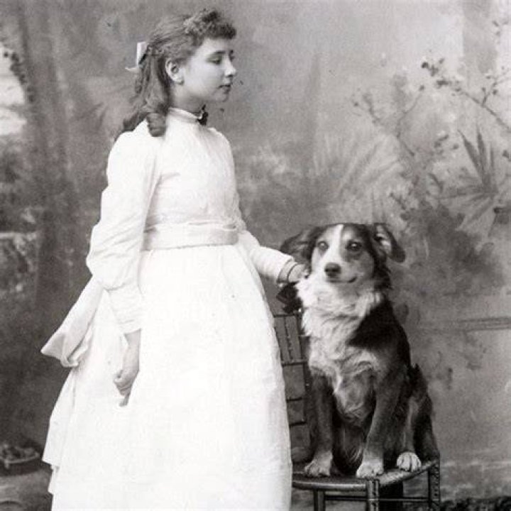 Why Did Helen Keller's Dog Run Away