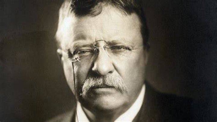 Why Theodore Roosevelt Banned Christmas Trees In The White House