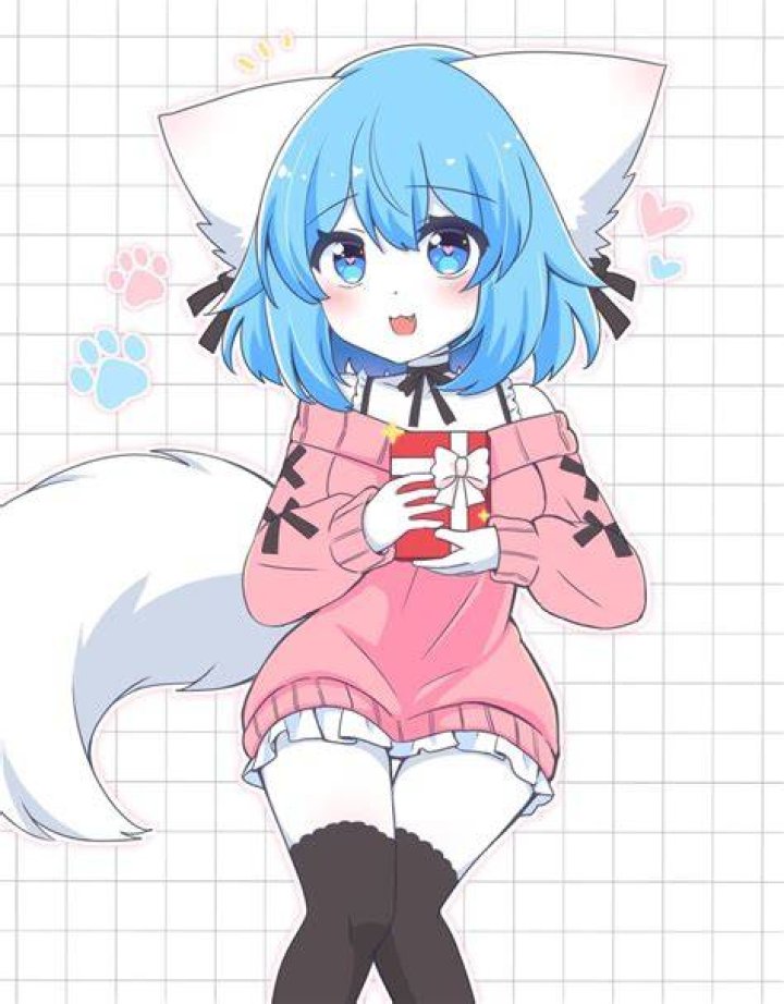 Wolfychu - WebBlog