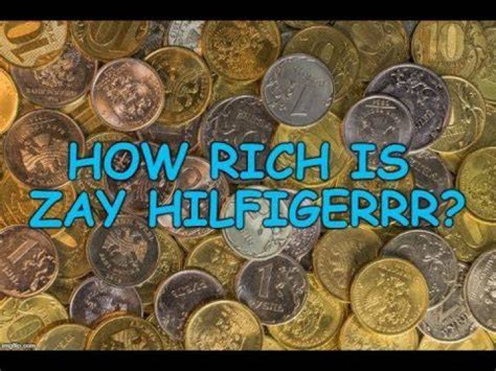 Zay Hilfigerrr Net Worth