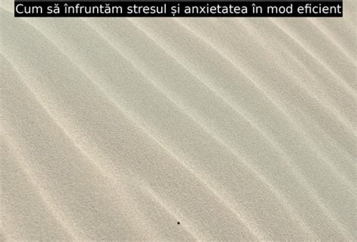 &Icirc;n mod eficient Manta mugur pod youth of the nation lyrics recurs miam