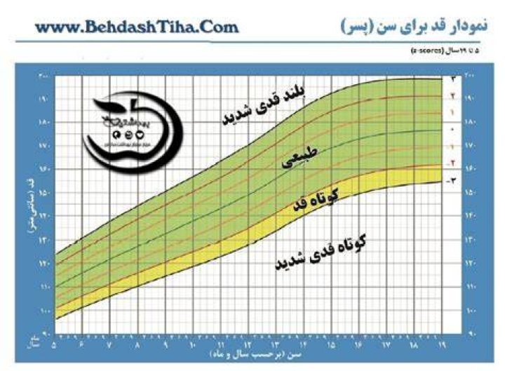 رایلی رید قد, وزن, سن